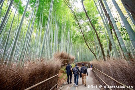 竹林很陰|嵯峨野竹林小徑・聆聽竹林中的隱藏版旋律